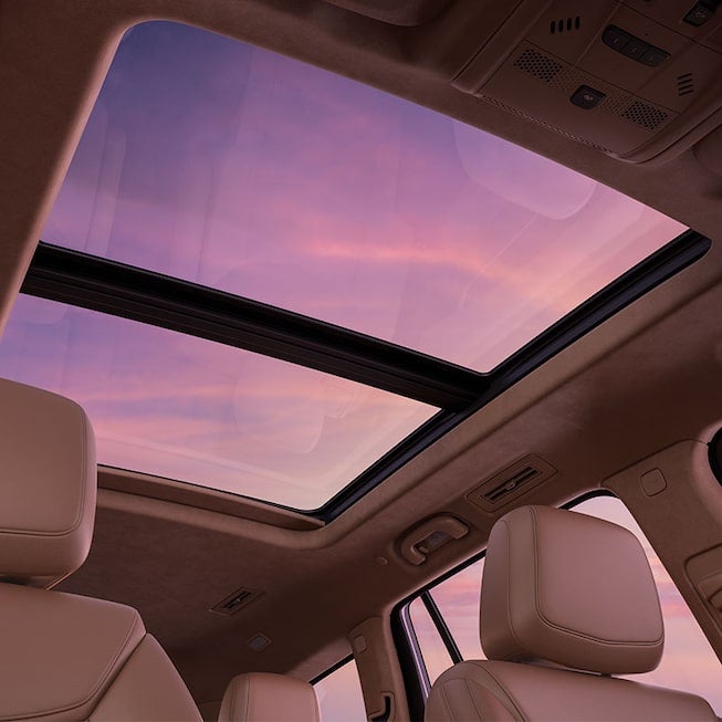 Cadillac Interior Roof